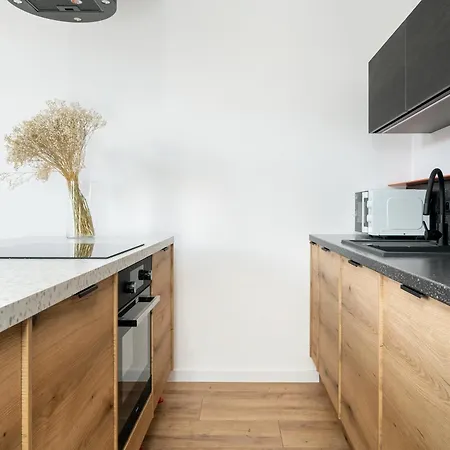 Appartement Klimatyzowane I Stylowe W Poznaniu Blisko Parku By Renters
