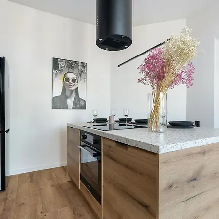 Klimatyzowane I Stylowe W Poznaniu Blisko Parku By Renters Appartement Poznań