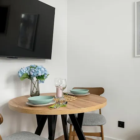 Klimatyzowane I Stylowe W Poznaniu Blisko Parku By Renters Appartement