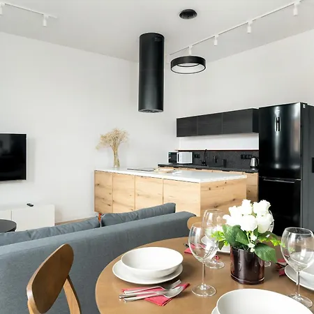 Klimatyzowane I Stylowe W Poznaniu Blisko Parku By Renters Poznan