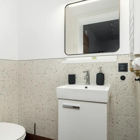 Klimatyzowane I Stylowe W Poznaniu Blisko Parku By Renters Poznan