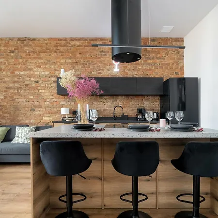Klimatyzowane I Stylowe W Poznaniu Blisko Parku By Renters Apartment