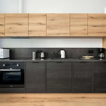Klimatyzowane I Stylowe W Poznaniu Blisko Parku By Renters Poznan
